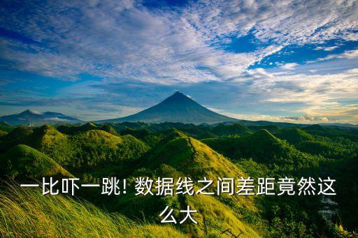 一比嚇一跳! 數據線之間差距竟然這么大