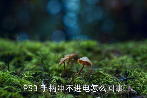 PS3 手柄沖不進電怎么回事