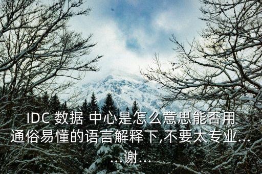 IDC 數(shù)據(jù) 中心是怎么意思能否用通俗易懂的語(yǔ)言解釋下,不要太專(zhuān)業(yè)……謝...