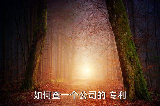 如何查一個(gè)公司的 專利