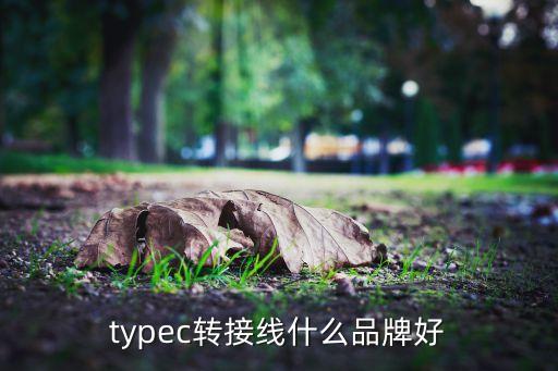 typec轉(zhuǎn)接線什么品牌好