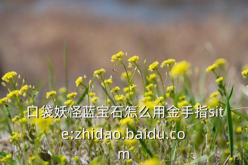  口袋妖怪藍寶石怎么用金手指site:zhidao.baidu.com