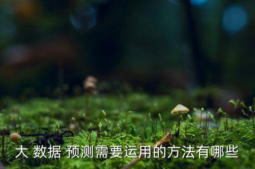 大 數(shù)據(jù) 預(yù)測需要運(yùn)用的方法有哪些