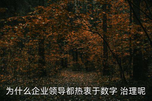 為什么企業(yè)領導都熱衷于數字 治理呢