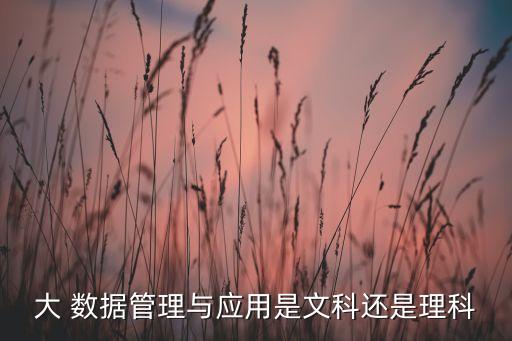 大 數(shù)據(jù)管理與應用是文科還是理科