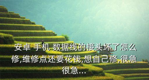 安卓 手機(jī) 數(shù)據(jù)線的接頭壞了怎么修,維修點(diǎn)還要花錢,想自己修,很急很急...
