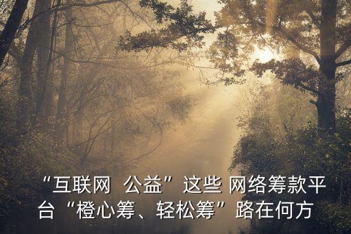“互聯(lián)網(wǎng)  公益”這些 網(wǎng)絡(luò)籌款平臺(tái)“橙心籌、輕松籌”路在何方