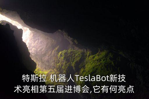 特斯拉 機器人TeslaBot新技術(shù)亮相第五屆進博會,它有何亮點