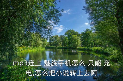 mp3連上 魅族手機怎么 只能 充電,怎么把小說轉(zhuǎn)上去阿