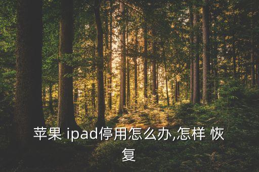ipad 如何讓恢復(fù)數(shù)據(jù),iPad顯示正在恢復(fù)數(shù)據(jù)啥意思