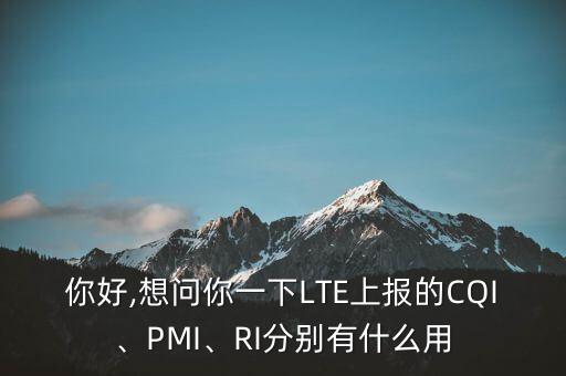 你好,想問你一下LTE上報(bào)的CQI、PMI、RI分別有什么用