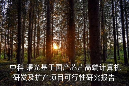  中科 曙光基于國產(chǎn)芯片高端計(jì)算機(jī)研發(fā)及擴(kuò)產(chǎn)項(xiàng)目可行性研究報(bào)告