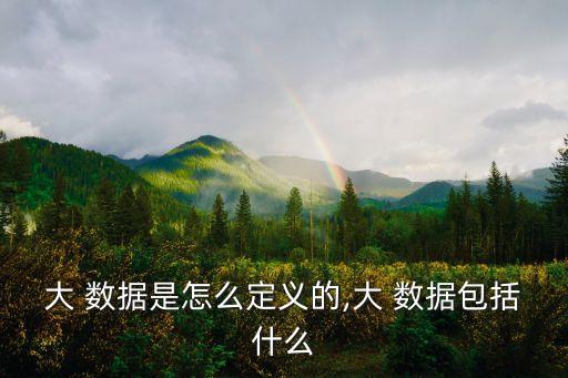 大 數(shù)據(jù)是怎么定義的,大 數(shù)據(jù)包括什么