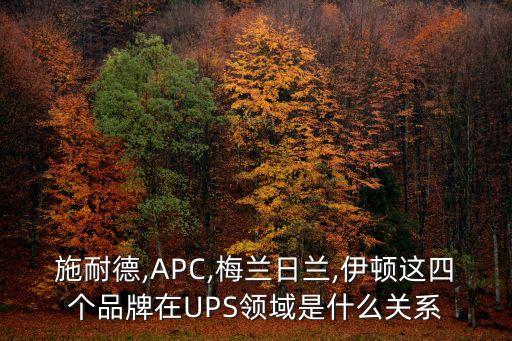數(shù)據(jù)中心 ups 品牌
