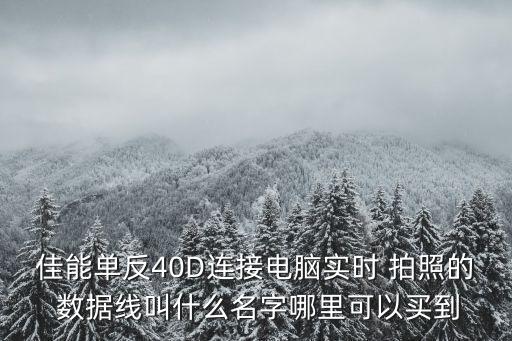 佳能單反40D連接電腦實時 拍照的 數(shù)據(jù)線叫什么名字哪里可以買到