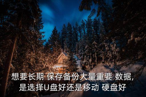 想要長(zhǎng)期 保存?zhèn)浞荽罅恐匾?數(shù)據(jù),是選擇U盤好還是移動(dòng) 硬盤好