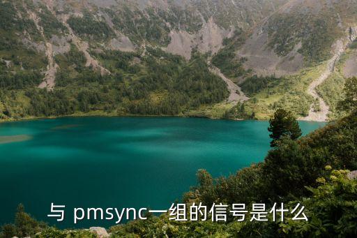 pm數(shù)據(jù)lte