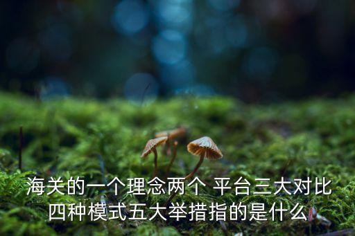  海關(guān)的一個(gè)理念兩個(gè) 平臺(tái)三大對(duì)比四種模式五大舉措指的是什么
