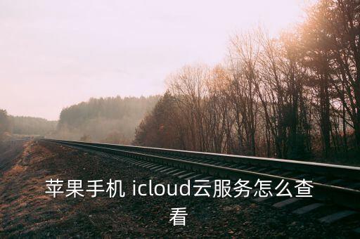 蘋果手機 icloud云服務怎么查看