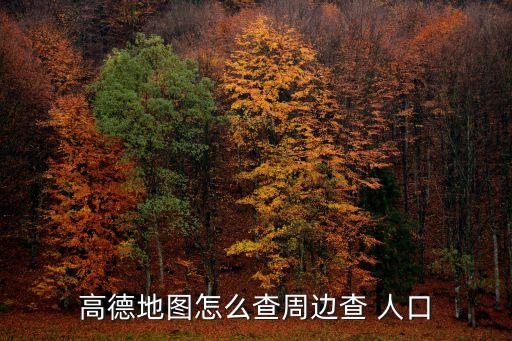 高德地圖怎么查周邊查 人口