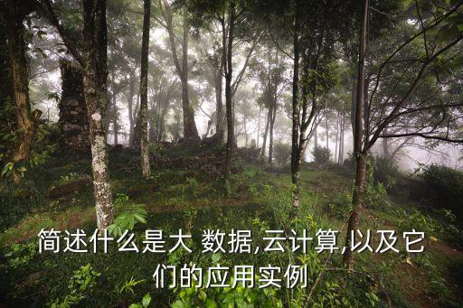 簡(jiǎn)述什么是大 數(shù)據(jù),云計(jì)算,以及它們的應(yīng)用實(shí)例