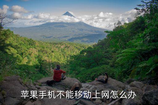 iphone怎么開(kāi)移動(dòng)數(shù)據(jù),iPhone正在使用移動(dòng)數(shù)據(jù)提升網(wǎng)速