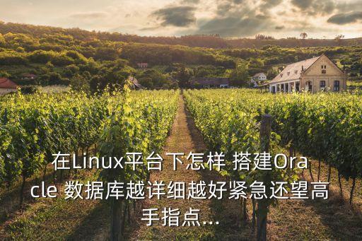 在Linux平臺下怎樣 搭建Oracle 數(shù)據(jù)庫越詳細(xì)越好緊急還望高手指點...