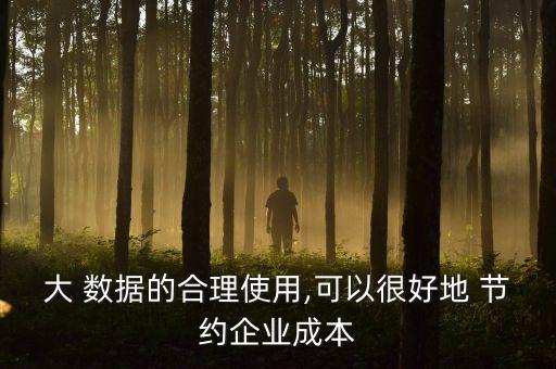 大 數(shù)據(jù)的合理使用,可以很好地 節(jié)約企業(yè)成本