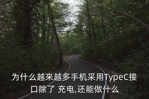 為什么越來越多手機采用TypeC接口除了 充電,還能做什么