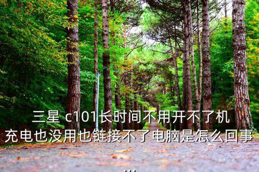  三星 c101長時間不用開不了機(jī)充電也沒用也鏈接不了電腦是怎么回事...