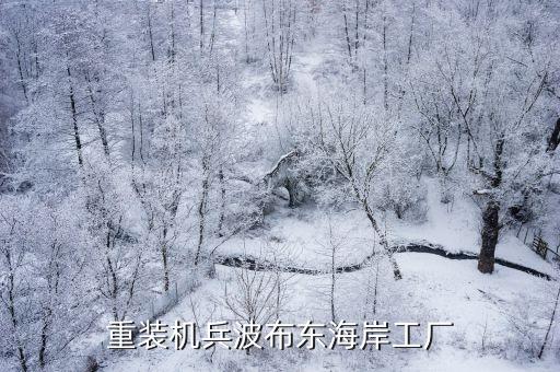 重裝機(jī)兵波布東海岸工廠