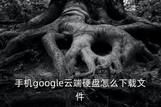 手機(jī)google云端硬盤怎么下載文件
