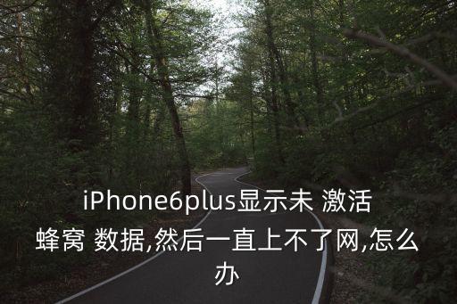 iPhone6plus顯示未 激活蜂窩 數(shù)據(jù),然后一直上不了網(wǎng),怎么辦
