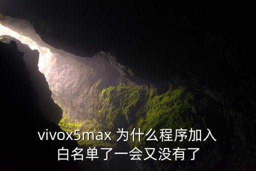 vivox5max 為什么程序加入白名單了一會又沒有了