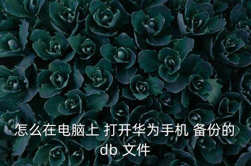 安卓備份數(shù)據(jù)庫(kù)文件怎么打開(kāi),navicat備份數(shù)據(jù)庫(kù)文件在哪