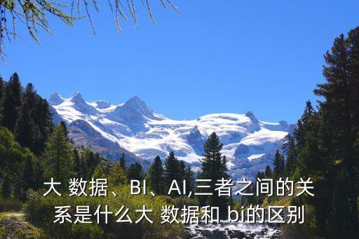 大 數(shù)據(jù)、BI、AI,三者之間的關(guān)系是什么大 數(shù)據(jù)和 bi的區(qū)別