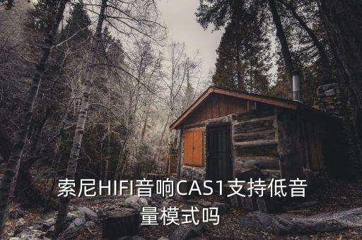  索尼HIFI音響CAS1支持低音量模式嗎