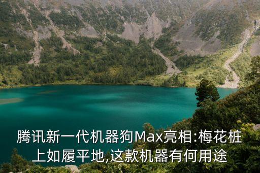 小發(fā)明四足機器人,四足機器人上市公司
