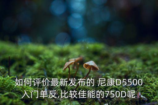 如何評(píng)價(jià)最新發(fā)布的 尼康D5500入門(mén)單反,比較佳能的750D呢