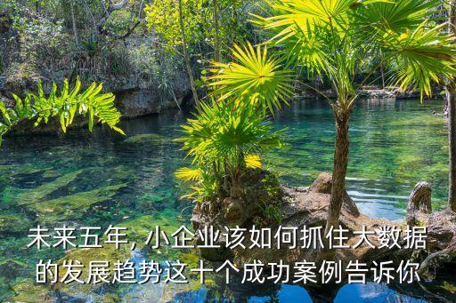 小企業(yè)數(shù)據(jù)管理