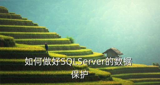 如何做好SQLServer的數(shù)據(jù) 保護(hù)
