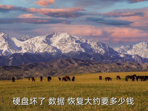 硬盤壞了 數(shù)據(jù) 恢復(fù)大約要多少錢