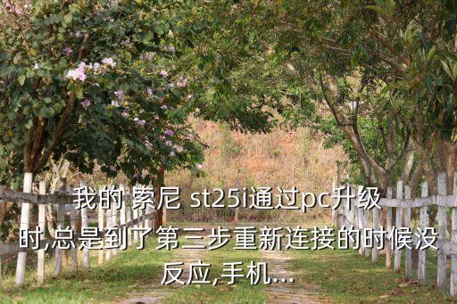 我的 索尼 st25i通過(guò)pc升級(jí)時(shí),總是到了第三步重新連接的時(shí)候沒(méi)反應(yīng),手機(jī)...