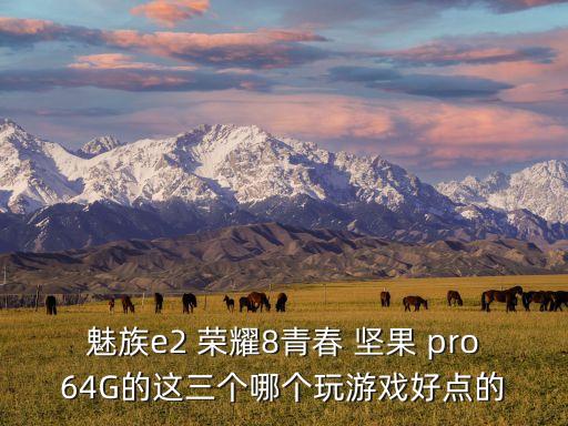 魅族e2 榮耀8青春 堅(jiān)果 pro64G的這三個(gè)哪個(gè)玩游戲好點(diǎn)的