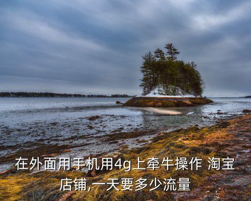 在外面用手機(jī)用4g上牽牛操作 淘寶店鋪,一天要多少流量