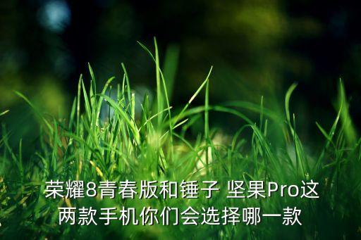 堅(jiān)果pro對(duì)比榮耀8數(shù)據(jù)