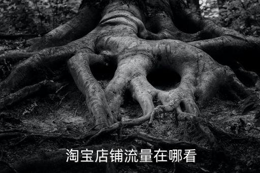 淘寶一天的數(shù)據(jù)量,淘寶客服一天接待量400