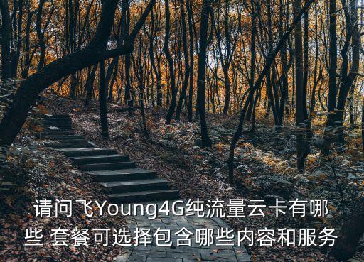 請(qǐng)問飛Young4G純流量云卡有哪些 套餐可選擇包含哪些內(nèi)容和服務(wù)