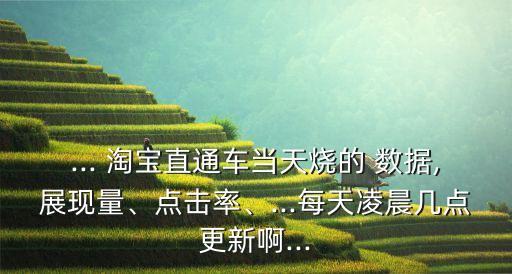 ... 淘寶直通車當(dāng)天燒的 數(shù)據(jù),展現(xiàn)量、點(diǎn)擊率、...每天凌晨幾點(diǎn)更新啊...