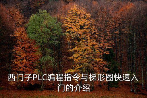 西門子PLC編程指令與梯形圖快速入門的介紹